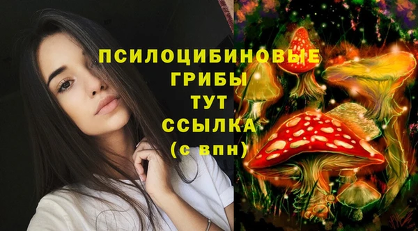 кокаин колумбия Алексин