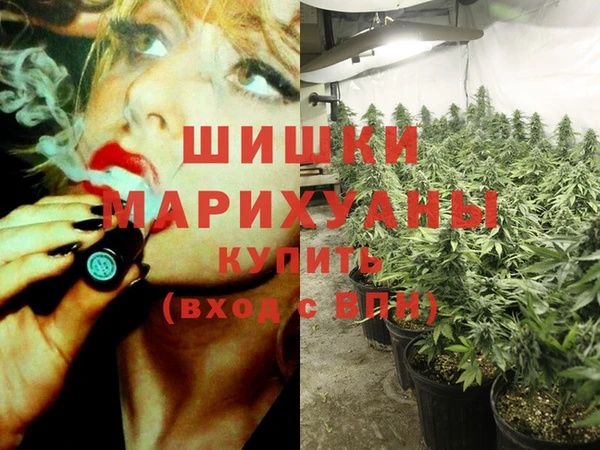 spice Алзамай