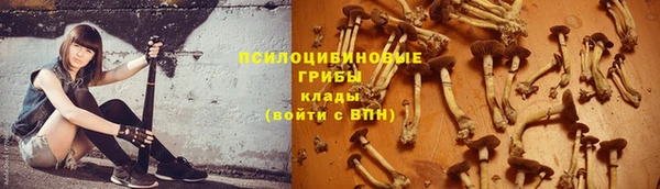 PSILOCYBIN Алексеевка