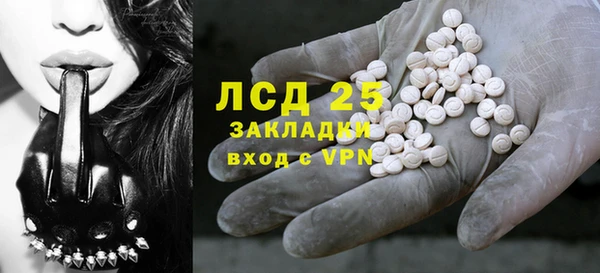 spice Алзамай